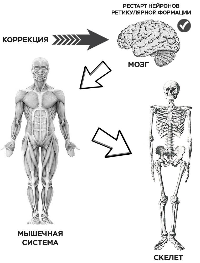 Дисфункция суставов головы