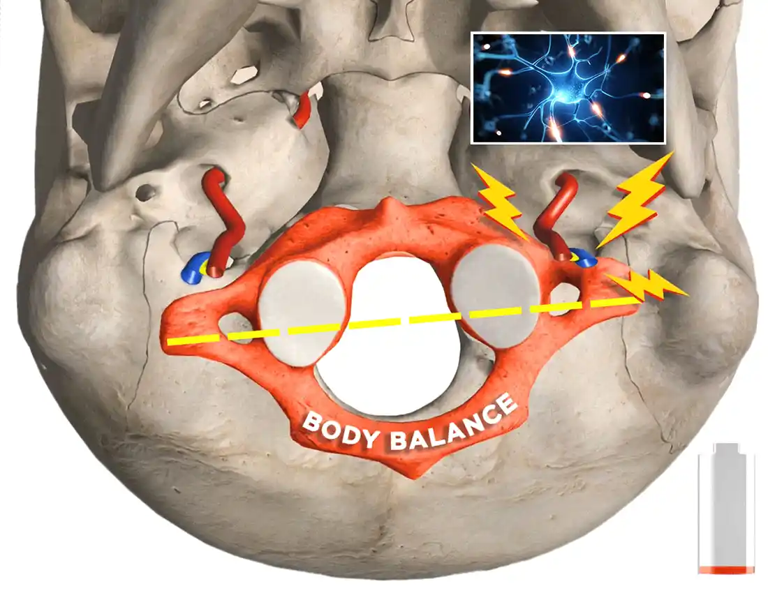 Impact on the nervous system