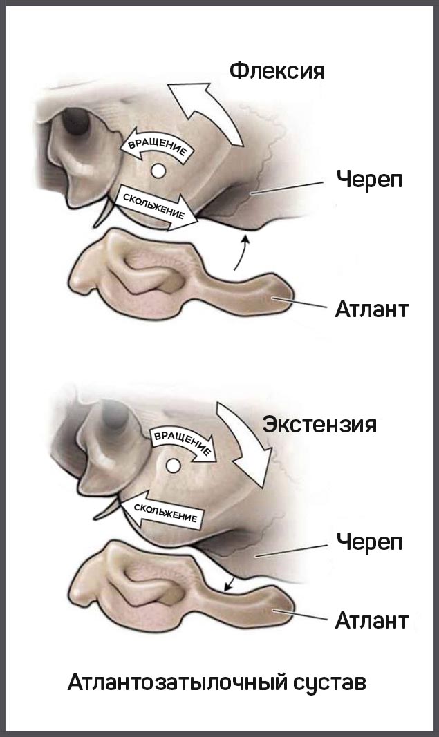 Латеральный атлантоосевой сустав — Википедия